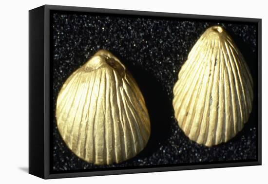 Small, Shell-Shaped Gold Pendants, from Burial Mound in Mining Village in Wadi Terfowi-null-Framed Stretched Canvas