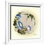 Small Small World-Peggy Harris-Framed Giclee Print