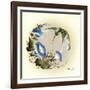 Small Small World-Peggy Harris-Framed Giclee Print