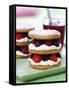 Small Sponge Cake with Berry and Cream Filling-Frank Wieder-Framed Stretched Canvas