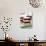 Small Sponge Cake with Berry and Cream Filling-Frank Wieder-Photographic Print displayed on a wall