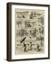 Small Sport in India-William Ralston-Framed Giclee Print