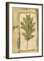 Small Spring Foliage V-Jennifer Goldberger-Framed Art Print