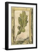 Small Spring Foliage VI-Jennifer Goldberger-Framed Art Print