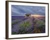 Small stone house in lavender field at sunset with a cloudy sky, Valensole, Provence, France-Francesco Fanti-Framed Photographic Print