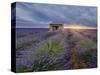 Small stone house in lavender field at sunset with a cloudy sky, Valensole, Provence, France-Francesco Fanti-Stretched Canvas