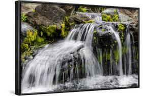 Small Stream Cascading over Rocks in Mountains of Kilauea-Michael DeFreitas-Framed Photographic Print