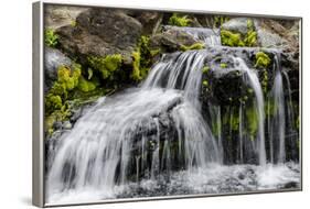 Small Stream Cascading over Rocks in Mountains of Kilauea-Michael DeFreitas-Framed Photographic Print