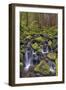 Small stream cascading through moss covered rocks, Hoh Rainforest, Olympic NP, Washington-Adam Jones-Framed Photographic Print