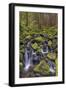 Small stream cascading through moss covered rocks, Hoh Rainforest, Olympic NP, Washington-Adam Jones-Framed Photographic Print