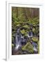 Small stream cascading through moss covered rocks, Hoh Rainforest, Olympic NP, Washington-Adam Jones-Framed Photographic Print