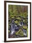 Small stream cascading through moss covered rocks, Hoh Rainforest, Olympic NP, Washington-Adam Jones-Framed Photographic Print