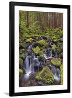 Small stream cascading through moss covered rocks, Hoh Rainforest, Olympic NP, Washington-Adam Jones-Framed Photographic Print