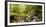 Small stream flowing through a densely covered forest in the Magoebaskloof, Tzaneen, Limpopo Pro...-null-Framed Photographic Print