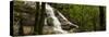 Small stream flowing through a densely covered forest, Wolkberg, Tzaneen, Limpopo Province, Sout...-null-Stretched Canvas