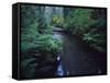 Small Stream Flowing Through Redwoods National and State Parks, California-null-Framed Stretched Canvas