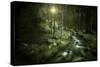 Small Stream in a Forest at Sunset, Pirin National Park, Bulgaria-null-Stretched Canvas