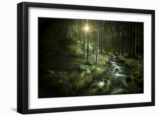 Small Stream in a Forest at Sunset, Pirin National Park, Bulgaria-null-Framed Photographic Print