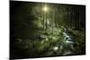 Small Stream in a Forest at Sunset, Pirin National Park, Bulgaria-null-Mounted Photographic Print