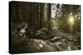 Small Stream in a Forest at Sunset, Pirin National Park, Bulgaria-null-Stretched Canvas