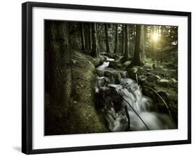 Small Stream in a Forest at Sunset, Pirin National Park, Bulgaria-null-Framed Photographic Print