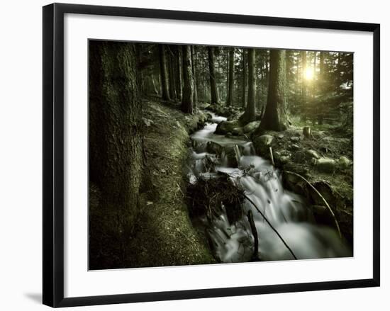 Small Stream in a Forest at Sunset, Pirin National Park, Bulgaria-null-Framed Photographic Print