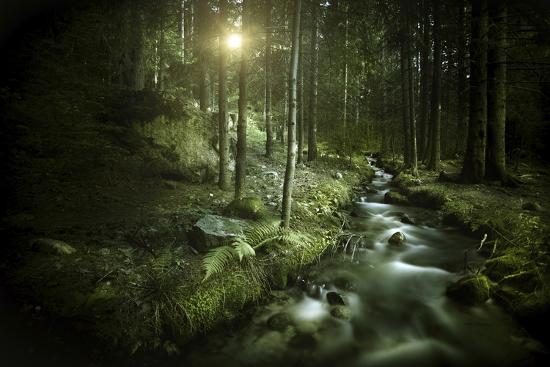 Photographic Print, , large