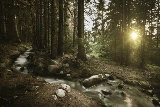 Premium Photographic Print, , large