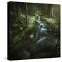 Small Stream in a Forest, Pirin National Park, Bansko, Bulgaria-null-Stretched Canvas