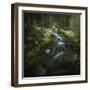 Small Stream in a Forest, Pirin National Park, Bansko, Bulgaria-null-Framed Photographic Print