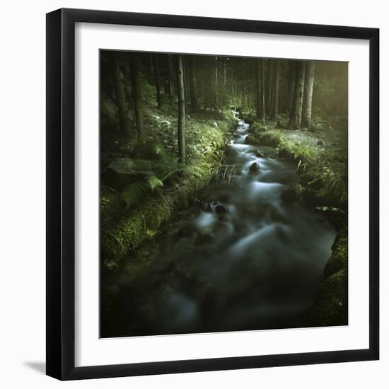 Small Stream in a Forest, Pirin National Park, Bansko, Bulgaria-null-Framed Photographic Print