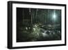 Small Stream in a Forest, Pirin National Park, Bansko, Bulgaria-null-Framed Photographic Print