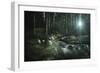 Small Stream in a Forest, Pirin National Park, Bansko, Bulgaria-null-Framed Photographic Print