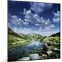 Small Stream in the Mountains of Pirin National Park, Bansko, Bulgaria-null-Mounted Photographic Print