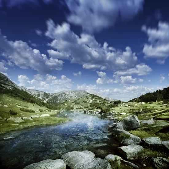 Premium Photographic Print, , large