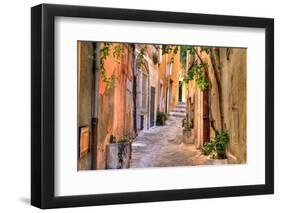 Small Street at Saint Tropez, Cote D'azur, France-PlusONE-Framed Photographic Print