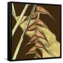 Small Striking Tropical III-Jennifer Goldberger-Framed Stretched Canvas