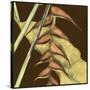 Small Striking Tropical III-Jennifer Goldberger-Stretched Canvas