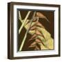 Small Striking Tropical III-Jennifer Goldberger-Framed Art Print