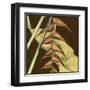 Small Striking Tropical III-Jennifer Goldberger-Framed Art Print