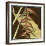 Small Striking Tropical III-Jennifer Goldberger-Framed Art Print