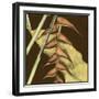 Small Striking Tropical III-Jennifer Goldberger-Framed Art Print