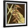 Small Striking Tropical III-Jennifer Goldberger-Framed Art Print