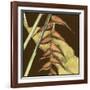 Small Striking Tropical III-Jennifer Goldberger-Framed Art Print