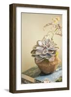 Small Succulent-Karyn Millet-Framed Photographic Print