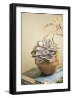 Small Succulent-Karyn Millet-Framed Photographic Print