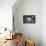 Small things-Philippe Sainte-Laudy-Stretched Canvas displayed on a wall