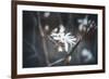 Small things-Philippe Sainte-Laudy-Framed Photographic Print
