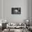 Small things-Philippe Sainte-Laudy-Photographic Print displayed on a wall