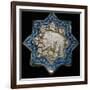 Small tile with a spotted hyena or bear, 13th century. Artist: Unknown-Unknown-Framed Giclee Print